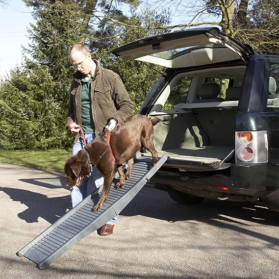 Amazon Basics Bi-Fold Plastic Pet Ramp Universal for Car, Truck or SUV